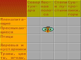 Клеточка